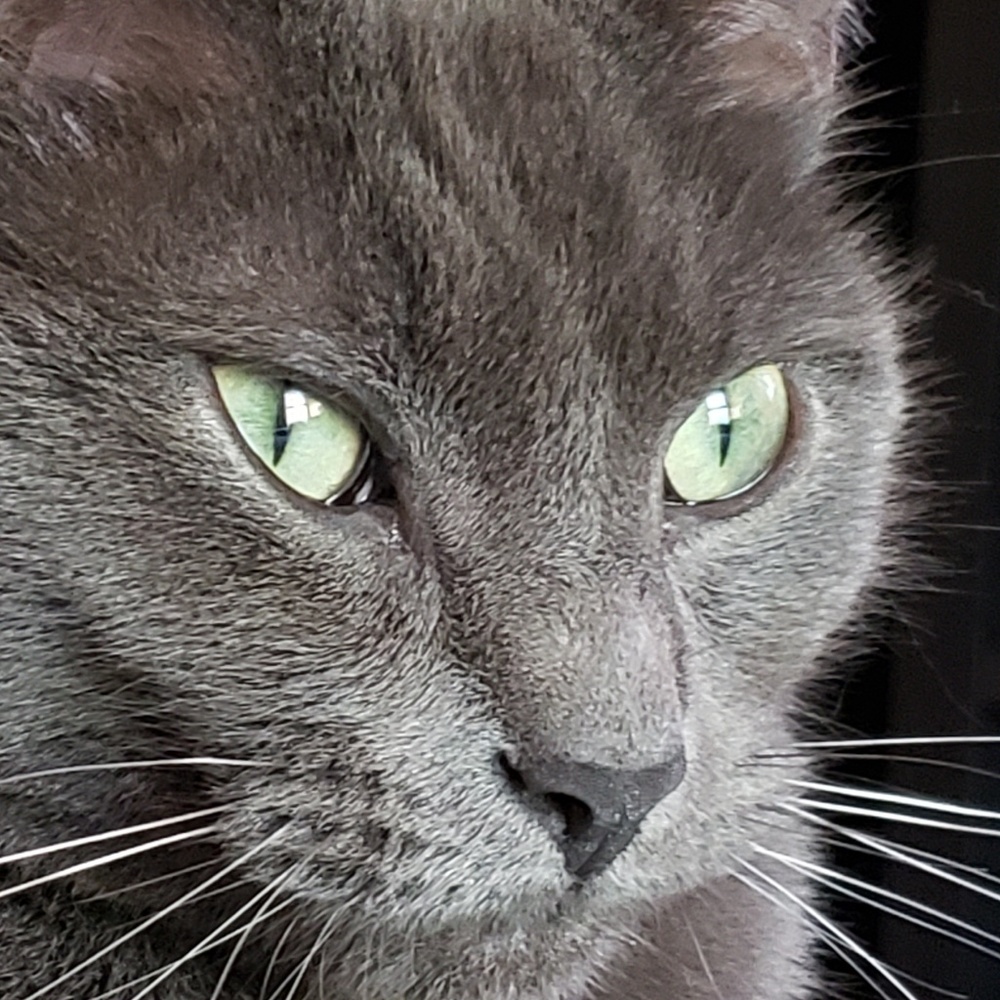 Meet your Posher, Brenda